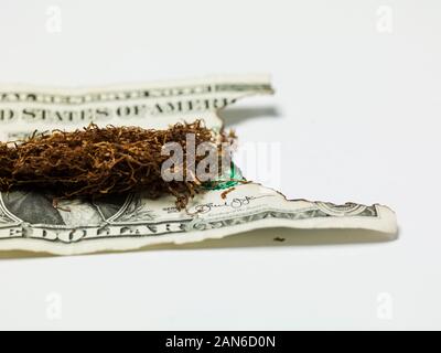 Schnupftabak mit einem Dollar Bill, verbranntes Geld Stockfoto