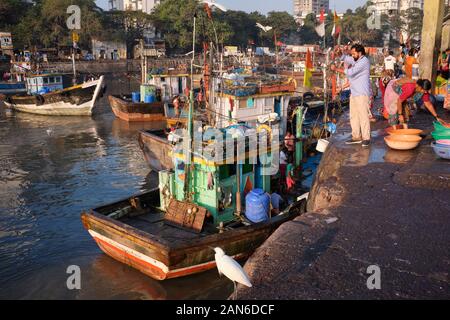 Fischtrawler vor Anker in Sassoon Docks, in Colaba Bereich, Mumbai, Indien, an einem frühen Morgen nach einer Angeltour zurückgekehrt Stockfoto