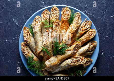 Buchweizen Crêpe-Brötchen mit Fleisch, Gemüse und Pilze auf einem Schild an einer konkreten Tabelle, Ansicht von oben, flach, close-up Stockfoto