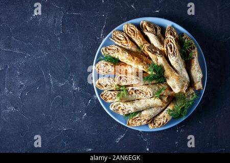 Buchweizen Crêpe-Brötchen mit Fleisch, Gemüse und Pilze auf einem Schild an einer konkreten Tabelle, Ansicht von oben, flach Stockfoto