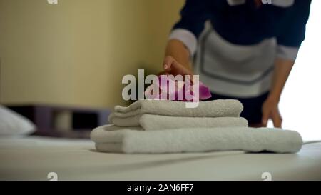 Zimmermädchen, duftende Blume auf saubere, weiße Handtücher Haufen, der allgemeinen Ordnung und Sauberkeit Stockfoto
