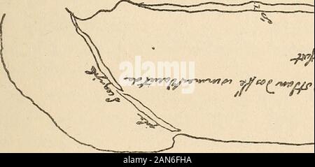 Die Wilderness Trail; oder, die Ventures und Abenteuer von der Pennsylvania Händler auf dem Allegheny Pfad, mit einigen neuen Annalen des alten Westens, und die Aufzeichnungen der einige starke Männer und einige schlechte. 18., Dienstag. Der Wind war aus dem Süden und kalt; Die suncame heraus. Die wilden vorbereitet und machte ein Sattel für das Pferd thatwas unsere Bestimmungen durchzuführen. Ich habe einen von ihnen mit der Huron inter-preter zum kleinen Dorf, mir einen Leitfaden erhalten, und ich besonders chargedthe Letzte mit, dass die Mission, auch ein Pferd für mich zu kaufen. Bei 4 oclock inder Nachmittag der Dolmetscher und der Savage zurückgegeben ohne Stockfoto