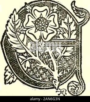 Die königliche Abstammung unserer edlen und sanften familiesTogether mit Ihren väterlichen Vorfahren.. . Der Abstieg ofRev. John DArcy Warcop Preston, aus dem Blut Royal von England. DWARD I., so dass namedafter Edward der Bekenntnisse - sor; in Westminster, 17. Juni 1239 geboren, knightedat Burgos, 1254, createdEarlof Chester; crownedat Westminster, 19 Aug, 1274, König von England, Lord von Irland, Herzog ofAquitaine; er heiligte das Fürstentum ofWales 12 S3, beansprucht und ausgeübt feudalsuperiority über Schottland; gestorben am Burgh-onthe-Sands, Cumberland, 7. Juli 1307, begraben. 577] in der Westminster Abbey, durch seine erste Frau, Eleanor, Stockfoto