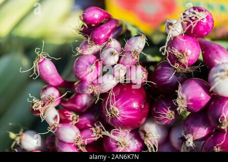 Ein Haufen roter Zwiebeln (Nahaufnahme). Auf einem Bauernmarkt in einer Kleinstadt namens Praid (Rumänien) zu verkaufen. Frisches, reifes Gemüse. Gesunde, organische Lebensmittel. Stockfoto