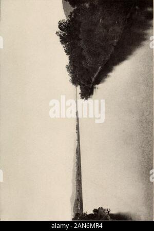 Die Wilderness Trail; oder, die Ventures und Abenteuer von der Pennsylvania Händler auf dem Allegheny Pfad, mit einigen neuen Annalen des alten Westens, und die Aufzeichnungen der einige starke Männer und einige schlechte. romisedto so tun. Der erste Hinweis auf den unteren Shawnee Stadt, mit diesem Namen, in der Pennsylvania Datensätze befound, erscheint in einem Brief medienkulturelles Trent zu Sekretär Peters, 20. Oktober 1748 geschrieben werden, wodurch ein accountof ein Mord, die von einem indischen an Kuskuskies begangen worden war. Anemploye von Hugh Parker, ein Virginia Händler gibt, wurde getötet, als eine Auseinandersetzung, die resultof Pla genommen hatte, Stockfoto