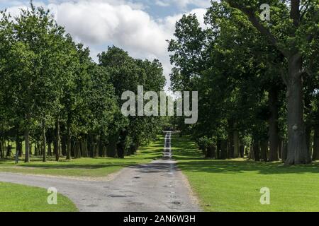 Mit Bäumen gesäumte Fahrt auf dem Gelände des herrschaftlichen Hauses der Helmingham Hall, Suffolk, Großbritannien Stockfoto