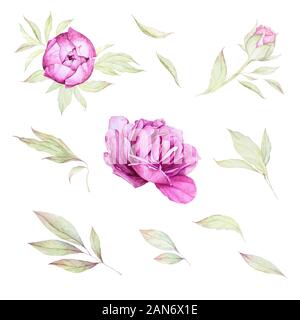 Aquarell Blumen gesetzt. Hochzeit Einladung Päonien. Luxury Pink Flower, Knospen, Blätter, Äste. Weißer Hintergrund. Stockfoto