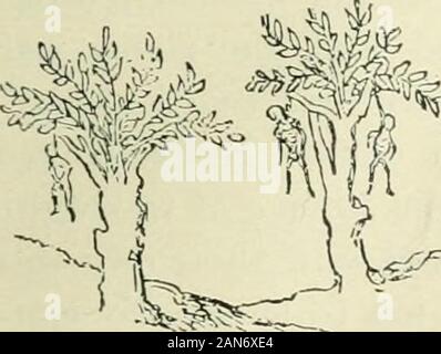 Die britische Nation eine Geschichte/von George MWrong. . Trnici. vL]&gt; rF.L. Zivilisation IM DREIZEHNTEN JAHRHUNDERT 145 menschlichen Lebens war, aber wenig beachtet war der Tod thepenalty Für noch unbedeutenden Diebstahl und es gab holocaustsTlie frequence^^ Opfer; in jedem Jahr hunderte, perhapsof den Tod von Tausenden, gehängt. Vieh und horsepenalty. Diebstahl war und ist in der mehr verunsichert Teile von Amerika, eine gemeinsame olfence. Für basercrimes Es war schwerer Bestrafung als hängen. Theman, der mit den Königen Münze manipuliert wurde in Stücke gerissen. Stockfoto