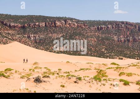 KANAB, UT, USA - 25. Mai 2012. Wüstenlandschaft mit zwei Personen wandern in Coral Pink Sand Dunes State Park Stockfoto