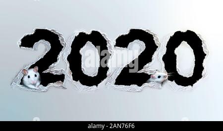 Cute white rats making a 2020 hole in a white paperboard. Chinese zodiac sign concept. Stockfoto
