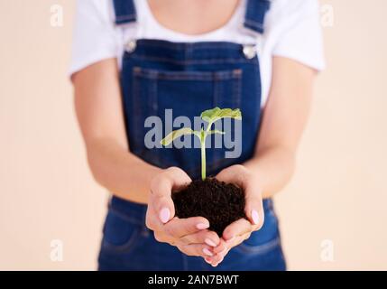 In der Nähe der kleinen Werk in Händen Stockfoto