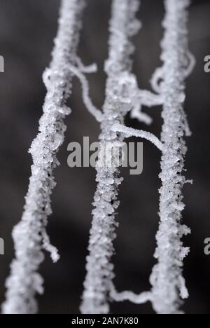 Raureif auf den Seilen im Winter Nahaufnahme. Flache Tiefenschärfe Stockfoto