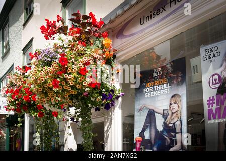 Einem hängenden Korb der jährlichen Blumen sind Teil der städtischen Blütenpracht in Devizes Wiltshire England Großbritannien Stockfoto