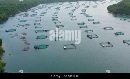Die Fischerei auf der Insel Luzon, Philippinen. Fischzucht, Ansicht von oben. Luftaufnahme von Fischteichen für bangus, milchfisch. Stockfoto