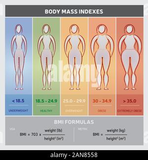 Body Mass Indexabbildung mit Silhouetten Für Frauenkörper, die Fünf Klassen und Formeln zeigen Stock Vektor