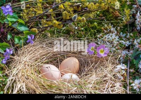 Ostern noch Leben mit Huhn Eier in einem Nest auf dem Hintergrund der Zweige der Blüte Willow, Primeln und Veilchen Stockfoto