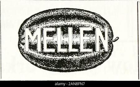 Amherst Verzeichnis einschließlich Hadley und Belchertown. thernpart von Massachusetts mit einer Bevölkerung von insgesamt über 125.000. Amherst, Hadley, Northampton, Hatfield. Deerfield, Greenfield, Montague Stadt, Drechsler fällt, LakePleasant, Montague, Müller fällt, Orange, Athol, Tempel - Tonne, Baldwinville, Otter River, Gardner, WestminsterFitchburg. Hauptsitz in Greenfield, Masse. 188 AMHERST VERZEICHNIS F R FISKE reines Quellwasser Eis AH Bestellungen promptlydelivered Telefon 139-11 101 Main Street Amherst, Mass. Haben Ihre Kleider trocknen durch die zurecht berühmten französischen Prozess, entfernt nicht nur alle Schmutz gereinigt Stockfoto