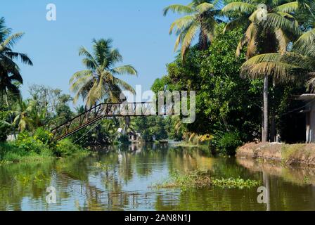 Kumarakom, kerala, Südindien Stockfoto