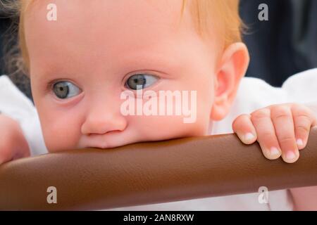 Baby nagen am Stoßfänger. Baby im Kinderwagen. Sitzung toddler Hintergrund. Baby Gesichtsausdruck. Kleinkind wartet auf die Eltern. Baby girl portrait. Zähne sind durch Schneiden. Stockfoto