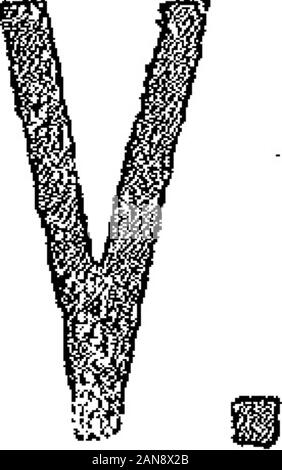 Boletín Oficial de la República Argentina 1903 1 ra sección. Stockfoto