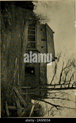 Pioneer Skizzen der langen Punkt Abrechnung: oder, Norfolk's Foundation Bauherren und ihre Familie Genealogien. eutenant James Monroe, die alte U. E. loyalistischen Pionier und war gerade vor hundert Jahren gebaut. Herr Monroe nahm viel upthis 1796, und im Herbst des selben Jahres begann er Vorbe- gen für den Bau des Hauses. Es ist ein zwei-stöckige Struktur, itsframe besteht aus einer Reihe von Bents, mit zwei Cross-beamsmortised und tenoned in die aufrechte Hölzern. Das timbers arepine, etwa sieben Zentimeter Platz, und die bents über fourfeet auseinander und zusammen mit sattelgurte, Mortised und tenonedinto gebunden Der Stockfoto