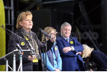 Ein Teilnehmer an einem Pro - Bleiben Kundgebung in London am Wochenende als anti-Brexit Gefühle hoch. Stockfoto