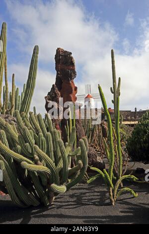 Cesar Manrique's Jardin de Cactus, ein UNESCO Biosphärenreservat, Guatiza, Lanzarote Stockfoto