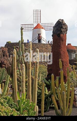 Cesar Manrique's Jardin de Cactus, ein UNESCO Biosphärenreservat, Guatiza, Lanzarote Stockfoto