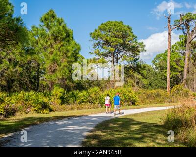 Menschen zu Fuß auf Eagle Trail im Lemon Bay Park in Englewood, Florida, United States Stockfoto