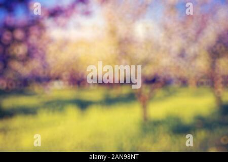 Blooming Apple Orchard im Frühjahr und blauer Himmel. Retro gefiltert. Beauty Welt. Natürliche verschwommenen Hintergrund. Weiches Licht Effekt. Stockfoto
