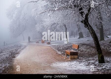 Budapest, Ungarn - Schöne nebligen Winter Szene an Normafa mit Sitzbank, verschneite Bäume, Wanderweg und die Menschen im Hintergrund läuft Stockfoto