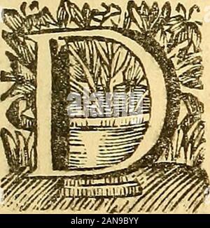 Corporis humani anatomia: In qua Omnia tam veterum, Quam recentiorum anatomicarum Inventa methodo novâ & intellectu facillimâ describuntur, ac tabulis repraesentantur Aeneis. eraque in abditis corporis recef- fibus latitant, & nifi remotis aliis partibus pauca oc-currunt, ideo plures Authores Anatomici Oflium defcriptionem prototius operis coronide adducunt. Mihi autem Longe commodius utiliuf-que vifum eft Primo de Oflibus, & poftmodum de mufculis inflituerefermonem. Etenim habita generalimufculorum defcriptione, qualemdedi Capite 8. Primi tradatus, entfernteres fingulorum cognitio Maxime q^^^^ j Stockfoto