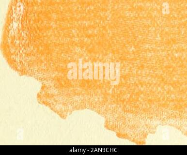 New Jersey als Kolonie und als Staat, einer der ursprünglichen 13. ABRAHAM LINCOLN. (16. Präsidenten der Vereinigten Staaten; b. Feb.12, 1809; (I. April 15, 1865.) KAPITEL IV die Position op New Jersey in der Civir.^ Var. Sie wurde auf den 4. März 1861 in hisinaugural Adresse, dass Abraham Lincoln, neu gewählte Präsident der USA, die Haltung der neu definiert - zöllner Partei, und was kann betermed Wpw Konsens der konservative Meinung im Norden. Kurz und er versprach sich und theparty vertrat er nicht mit dem in-tion der Sklaverei in den Sta zu stören Stockfoto