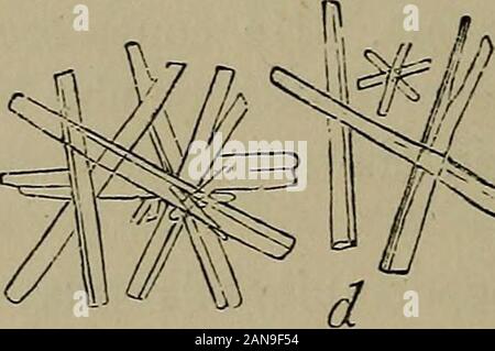 Eine praktische Abhandlung über Harn- und Nierenerkrankungen: einschließlich der Harnwege Einlagen. & JS.4 SS&lt;% Stockfoto