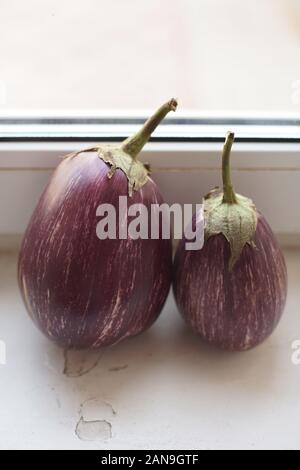 Zwei aubergine Purpur mit weißen Streifen auf dem alten Fensterbank. Stockfoto