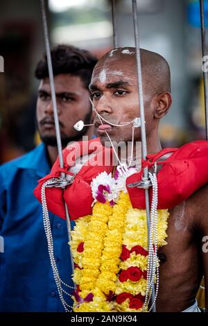 Batu Höhlen, Malaysia - 21. Januar 2019: Close-up piercing Männer devotee eine cavadi in Thaipusam Fest. Stockfoto