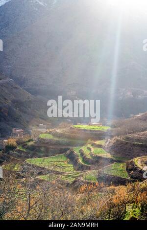 Schön terrassierten Feldern im Hohen Atlas, Imlil, Marokko Stockfoto