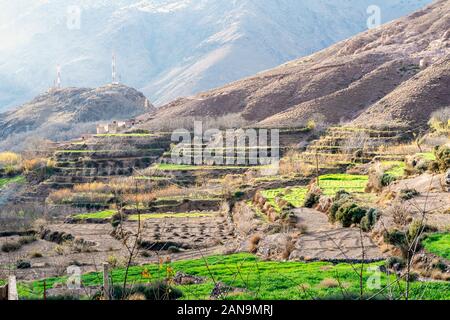 Schön terrassierten Feldern im Hohen Atlas, Imlil, Marokko Stockfoto