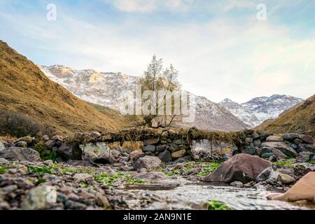 Schönen Tal mit Stream in Atlas mountain von Sonnenuntergang, Marokko Stockfoto