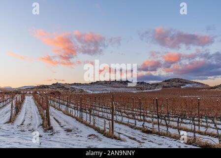 Farbenfroher Sonnenuntergang über einem schneebedeckten Weinberg in Eastern Washington mit Bergen in der Ferne Stockfoto