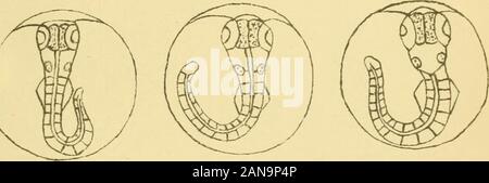 Bericht über die Lancashire Meer - Fischerei Labor an der Universität von Liverpool, der fischzuchtanstalt an Piel.. . Abb. 7 Abb. ". Abb. 9.. Abb. 10. Stockfoto