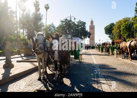 Pferdekutschen warten auf Touristen vor der berühmten Moschee in Marrakesch, Marokko Stockfoto