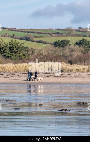 Drei Besitzer von Hundegängern, die ihre Haustiere auf Par Beach, Mitte Cornwall bei Springtime Sonnenschein, gehen. Der blaue Himmel spiegelte sich im Wasser des ausgehenden Gezeitens wider Stockfoto