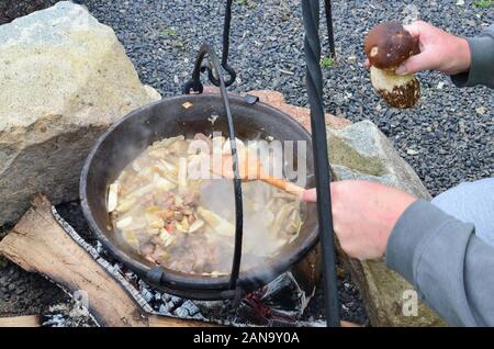 Vorbereitung Steinpilzen und Hirschgulasch in einem cettle über offenem Feuer, mischen Speise und Überlegen einige extra Steinpilze Stockfoto