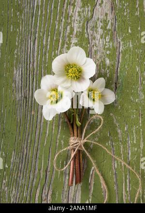 Schönen Blumenstrauß von Spring Flower Blumen auf rustikalen Grün Holz- Hintergrund. (Helleborus niger). Immer noch leben. Selektive konzentrieren. Stockfoto