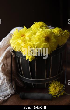 Ein Korb mit gelben Herbst Chrysanthemen. Stockfoto
