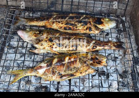Frische und gesunde Fische, Wolfsbarsch und goldline auf einem Raster über brennende Holzkohle, Gegrilltes und fast fertig bedient zu werden. Stockfoto