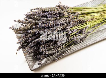 Lavendel sprigs ruht auf einem Teller. Stockfoto