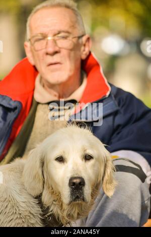 Golden Retriever Hund vor seinem Meister. suche gerade, nass nach dem Schwimmen, genießen Sonne in hellen Herbst Tag Stockfoto