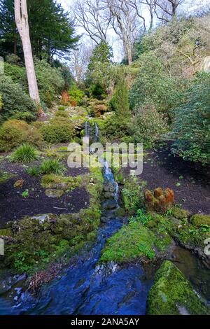 Ein kleiner Bach in der Dell an Bodnant Gardens, Tal-y-Cafn, Conwy, Wales, Großbritannien Stockfoto